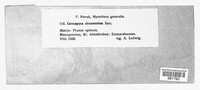 Pruniphilomyces circumscissus image